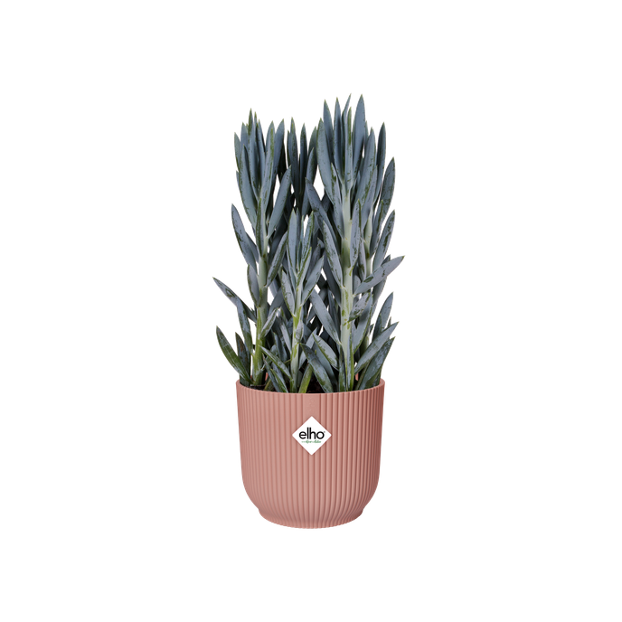 vibes fold rond 30cm delicaat roze